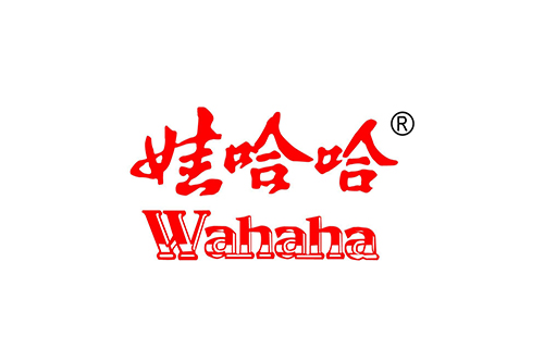 洛陽娃哈哈食品加工燃氣（qì）蒸汽鍋爐案例