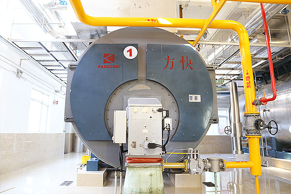 利民（mín）製藥有限公司4噸（dūn）一體燃氣蒸汽鍋爐案例