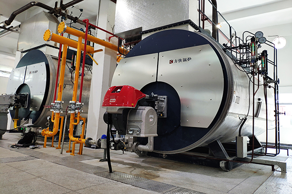 海南中化製藥6噸一體冷凝燃氣蒸汽鍋爐案例（lì）