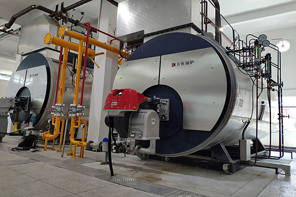 露露（lù）股份20噸一體冷凝（níng）燃（rán）氣蒸汽鍋爐案例