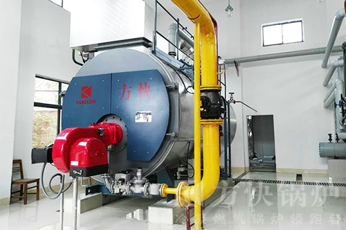 安徽（huī）醫院燃油氣蒸汽鍋爐案例