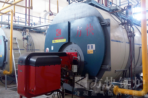 香蕉视频91食品燃油氣蒸汽(qì)鍋爐案例 香蕉视频91食品燃油氣蒸汽鍋爐案例