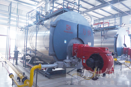 香蕉视频91燃油氣（qì）蒸汽鍋爐應用案例